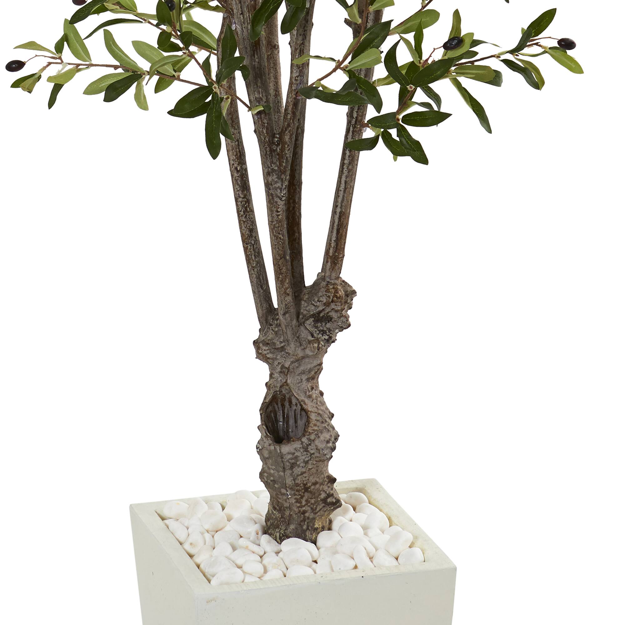 6ft. Olive Tree In White Tower Planter